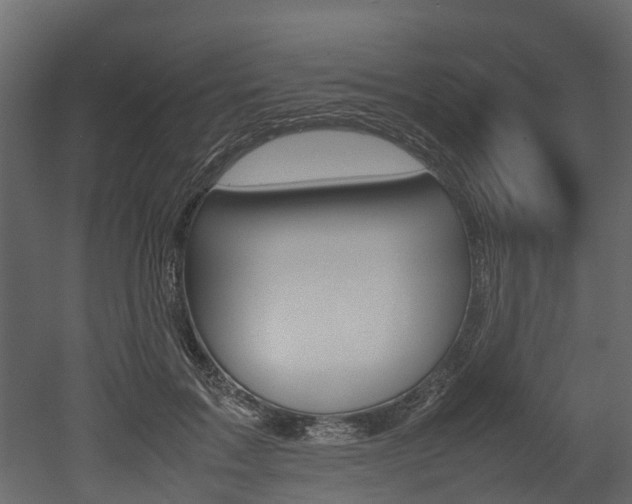 X0000052970603200507080924