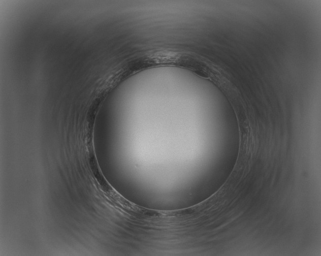 X0000052970604200507080924