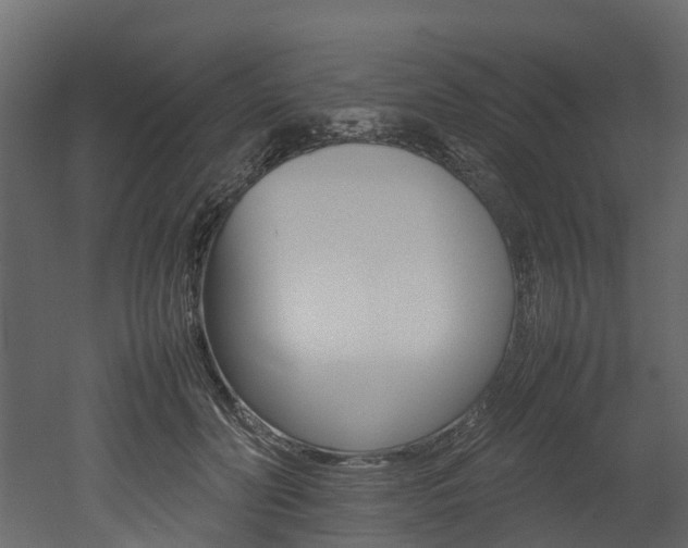 X0000052970606200507080924
