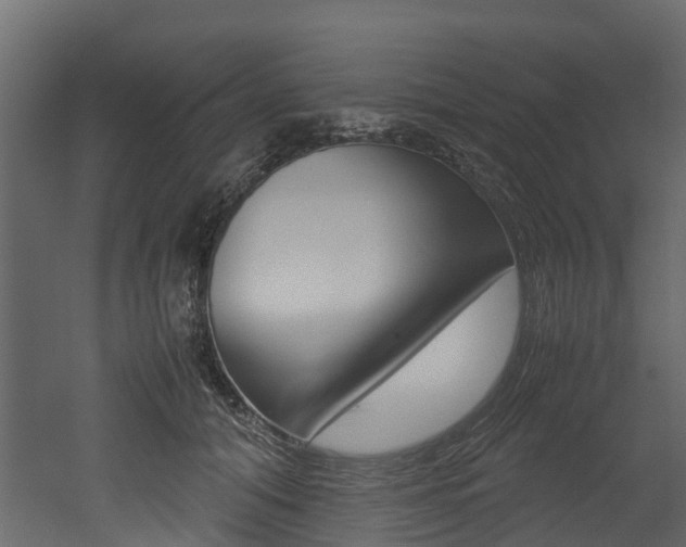 X0000052970608200507080924