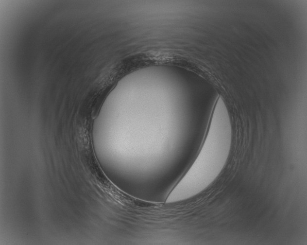 X0000052970609200507080924