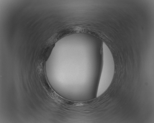 X0000052970611200507080924
