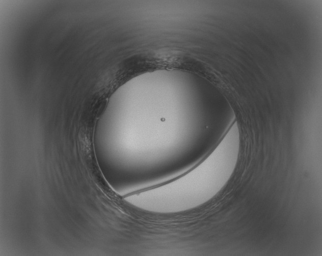 X0000052970613200507080923