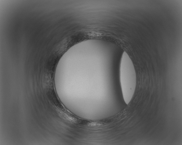 X0000052970614200507080923