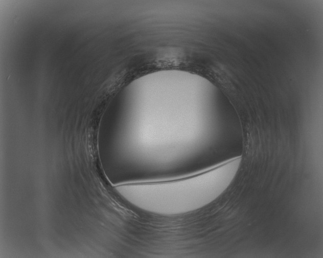 X0000052970616200507080923