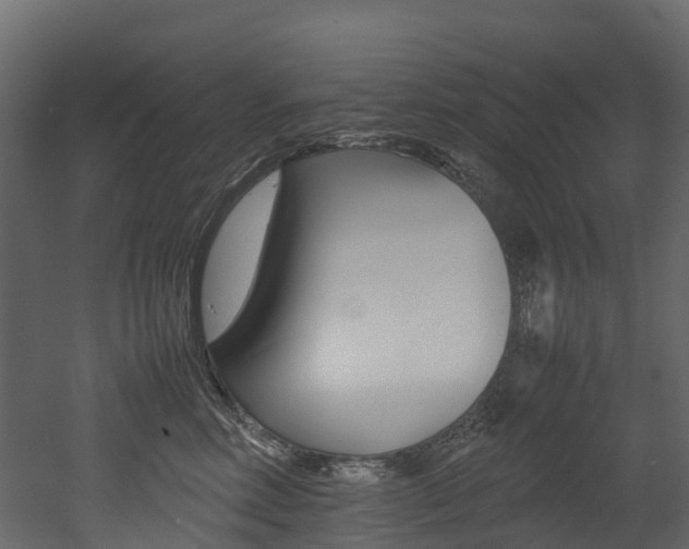 X0000052970618200507080923