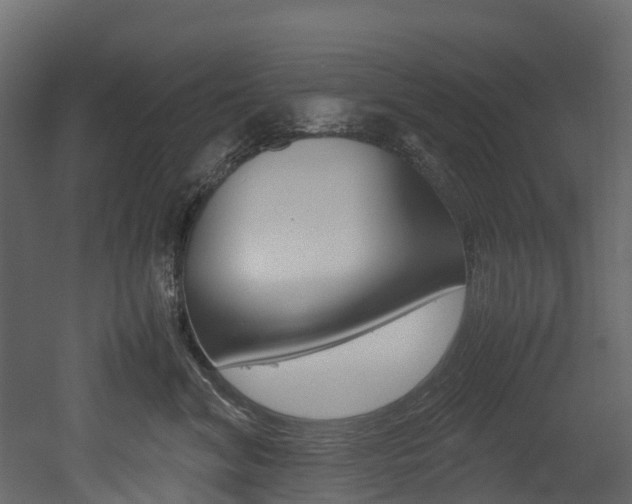 X0000052970620200507080923