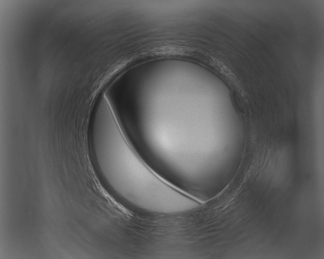 X0000052970625200507080922