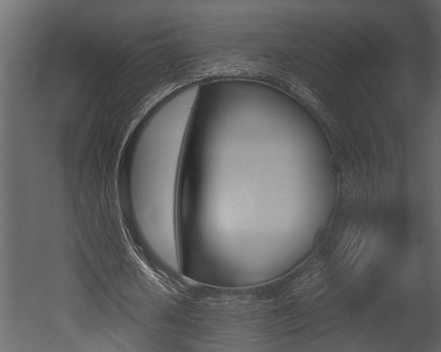 X0000052970626200507080923