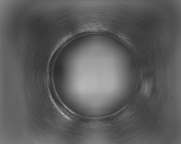 X0000052970630200507080923