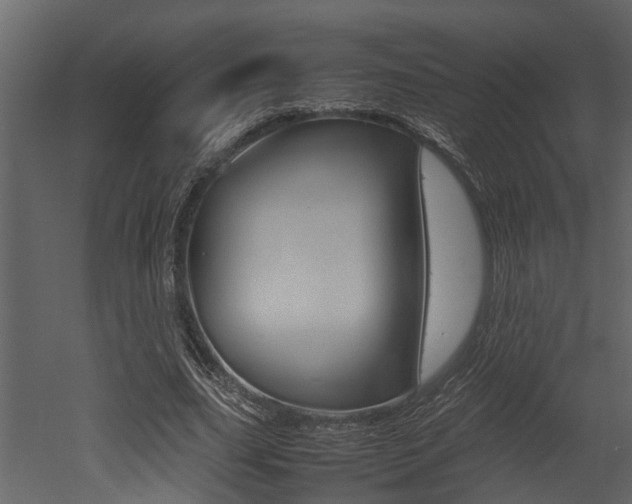 X0000052970631200507080923