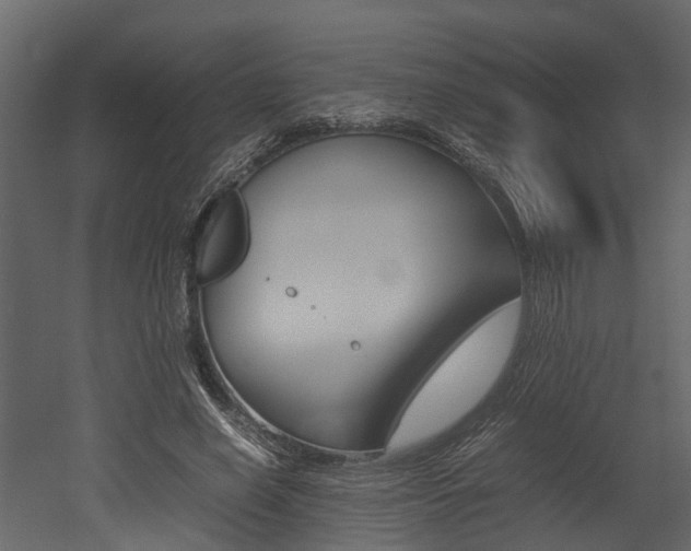 X0000052970638200507080923