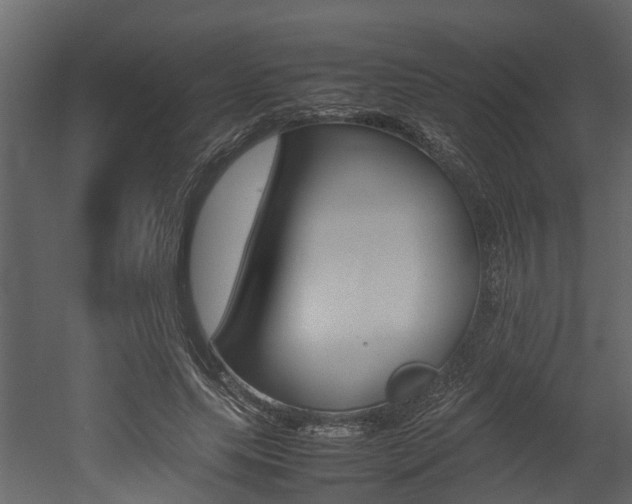 X0000052970639200507080923