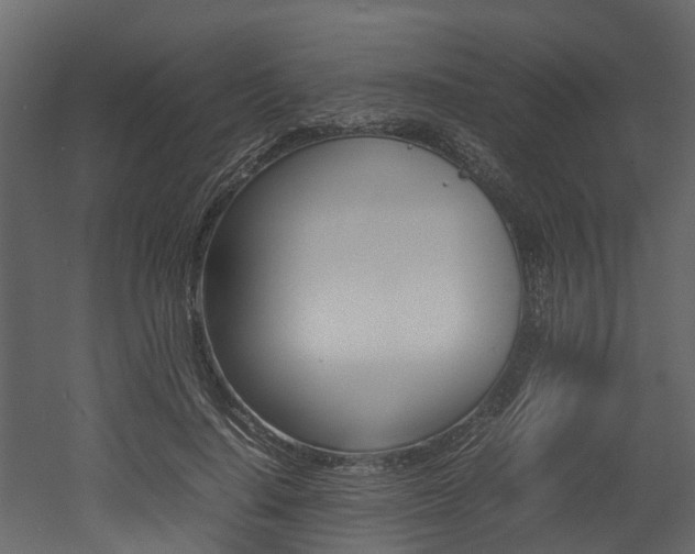 X0000052970644200507080923