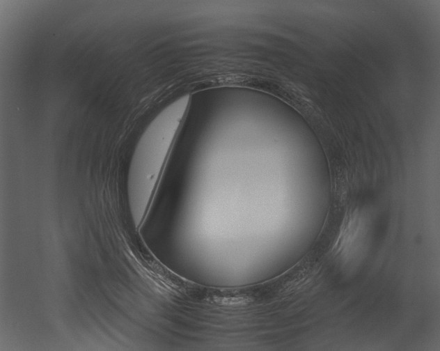 X0000052970645200507080923