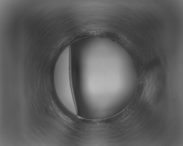 X0000052970646200507080923