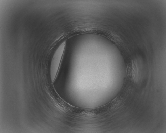 X0000052970648200507080923