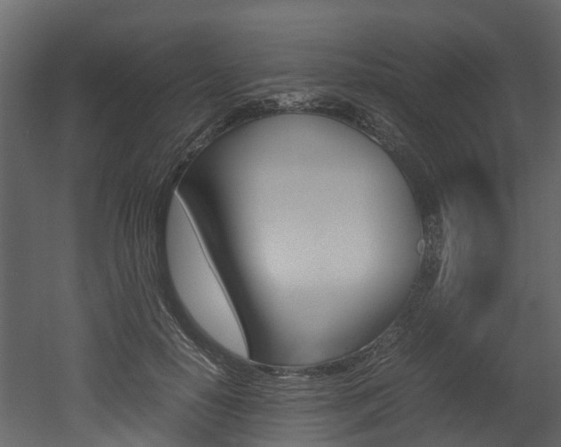 X0000052970650200507080923