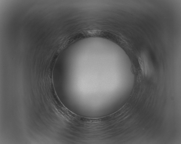 X0000052970651200507080923
