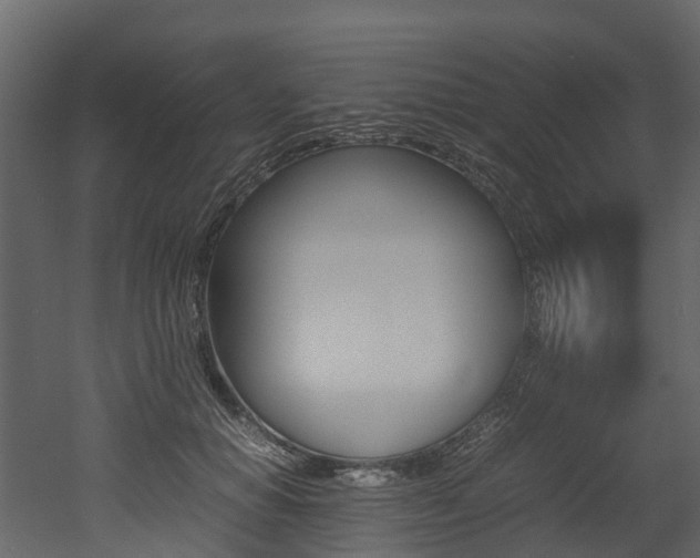 X0000052970654200507080923