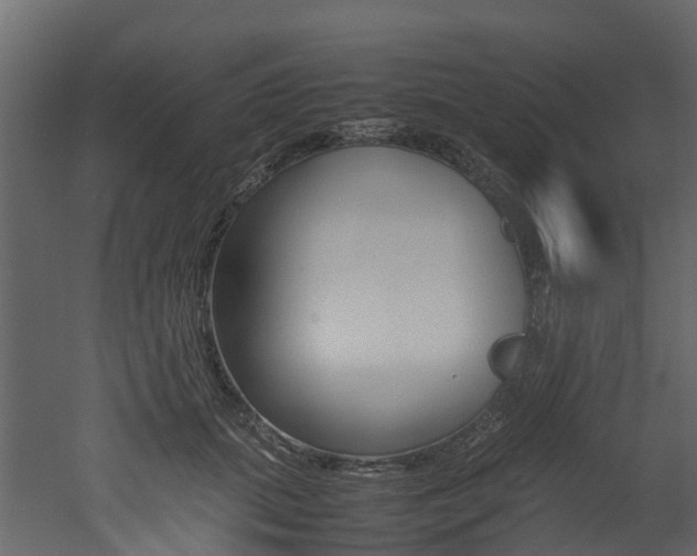 X0000052970655200507080923