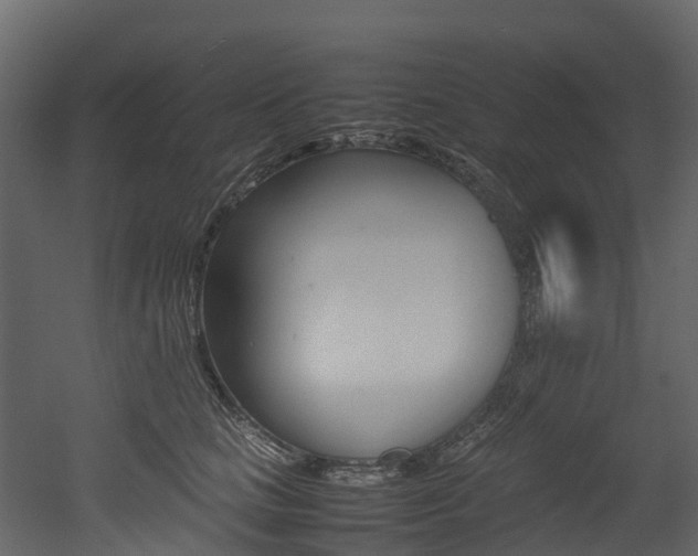 X0000052970661200507080923