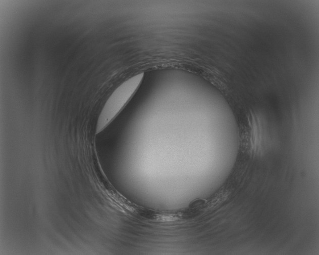 X0000052970662200507080923