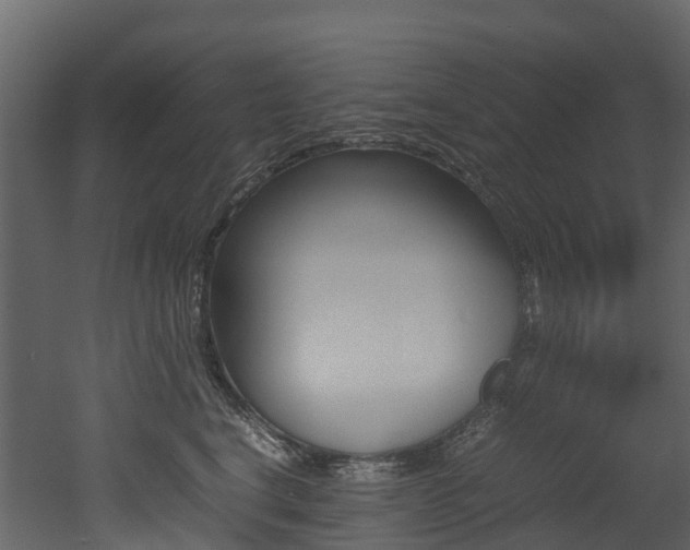 X0000052970664200507080923