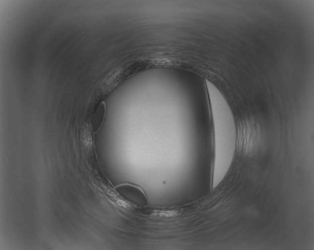X0000052970665200507080923