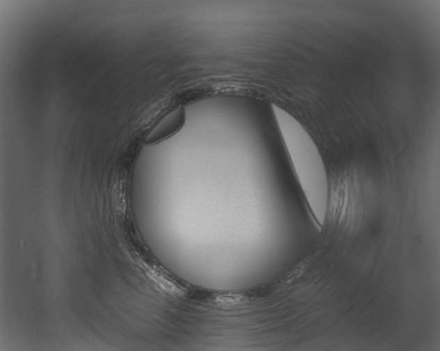 X0000052970666200507080923