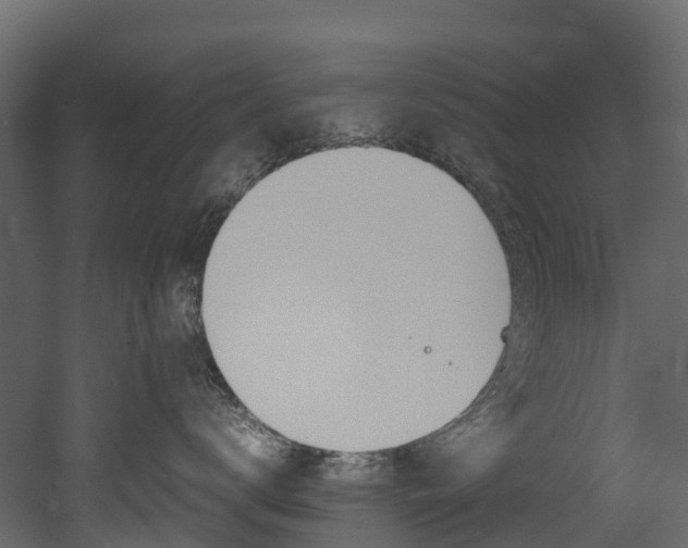 X0000052970672200507080923