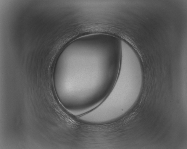 X0000052970673200507080922