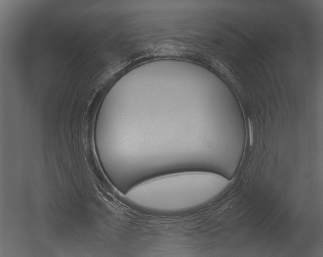 X0000052970675200507080922