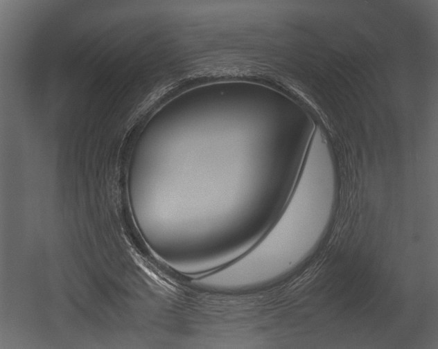 X0000052970677200507080922