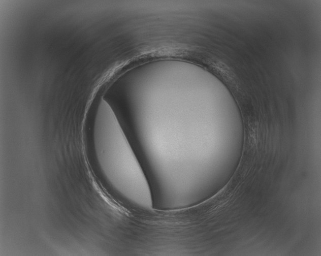 X0000052970678200507080922