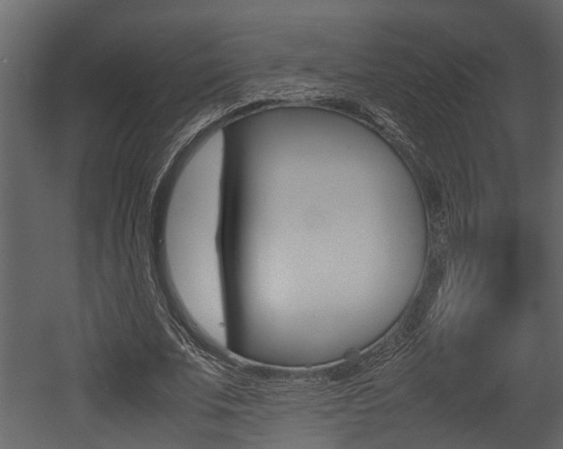 X0000052970679200507080922
