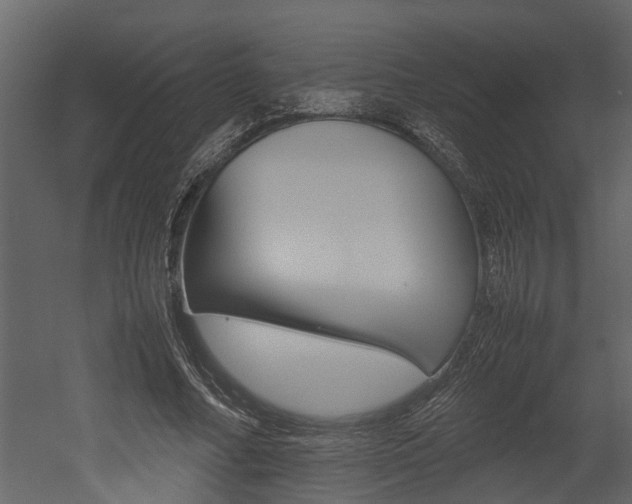 X0000052970682200507080922