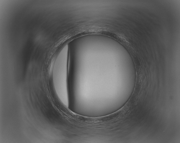 X0000052970683200507080922