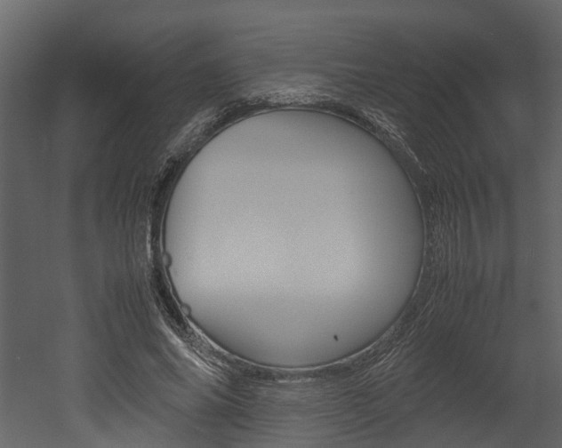 X0000052970686200507080922