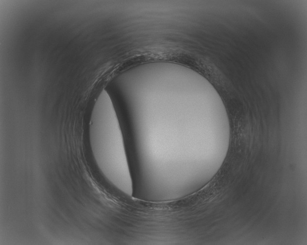 X0000052970694200507080922