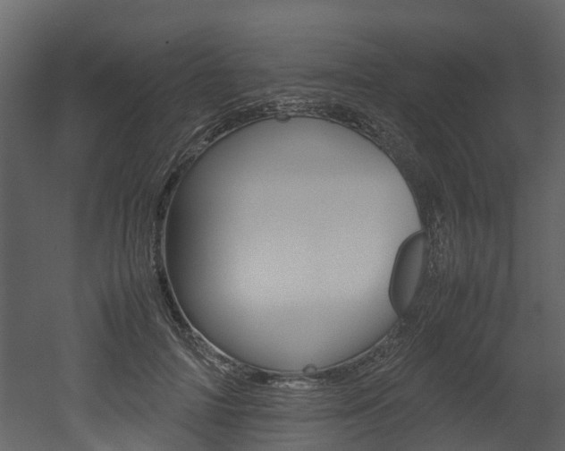 X0000052970698200507080922
