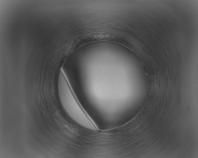 X0000052970700200507080922