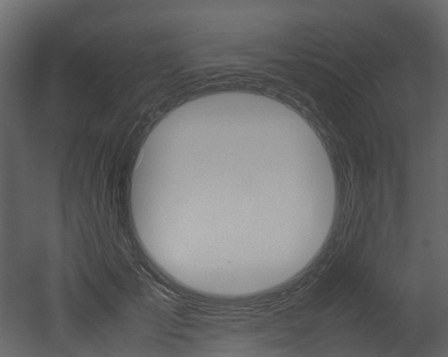 X0000052970701200507080922