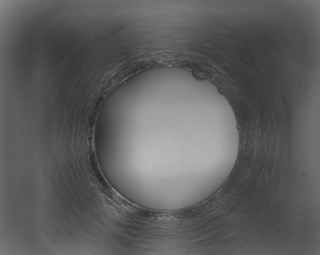 X0000052970702200507080922