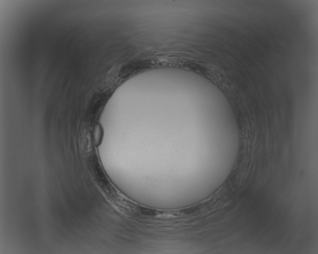 X0000052970703200507080922