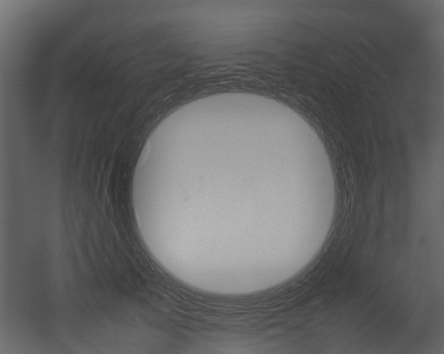 X0000052970705200507080922