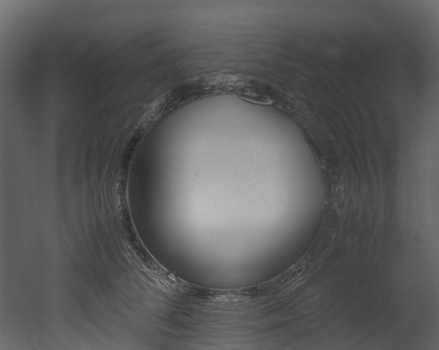 X0000052970708200507080922