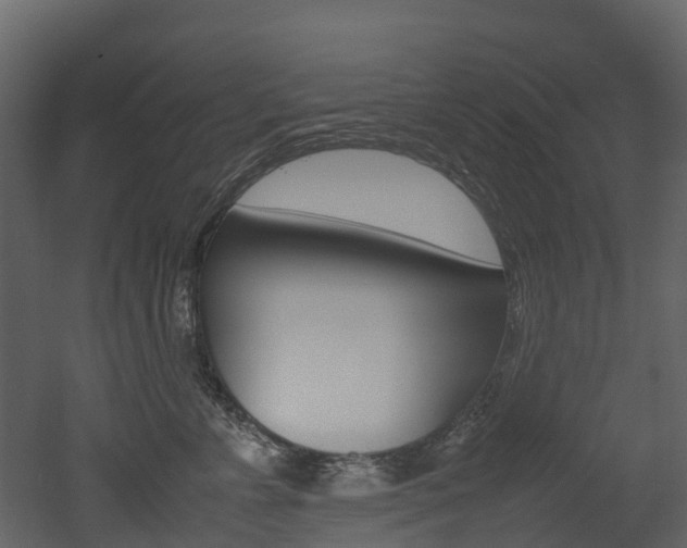 X0000052970715200507080922
