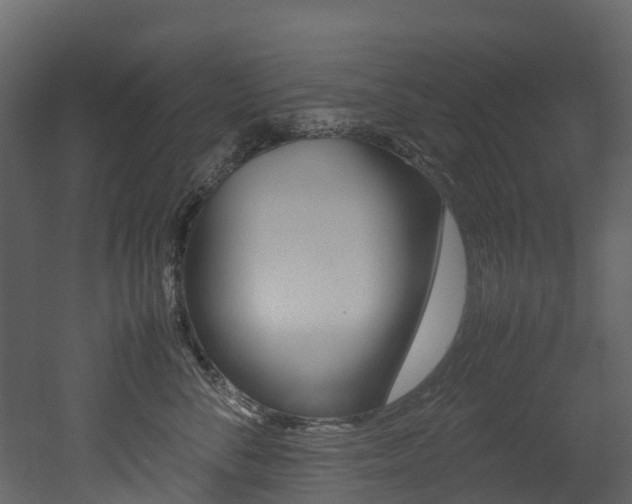 X0000052970716200507080922