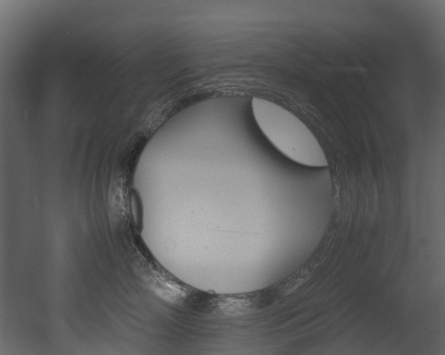 X0000052970718200507080922